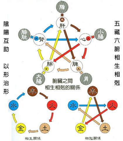 生肖相生相剋表|【屬與五行相剋】十二生肖五行相剋表 